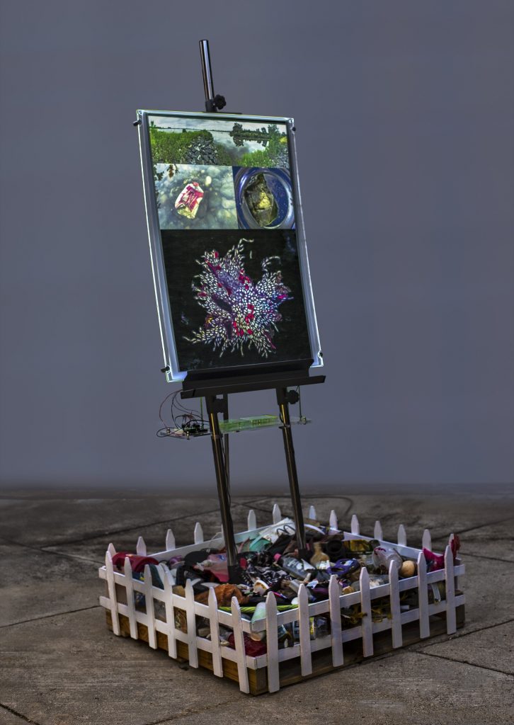 Installation, lightbox, transparency, microplastics, bio- sample, LED lights, Plexiglas, hardware, material culture collected from Masonville Cove Environmental Education Center, white picket fence, pallet 7' X 5' X 5'