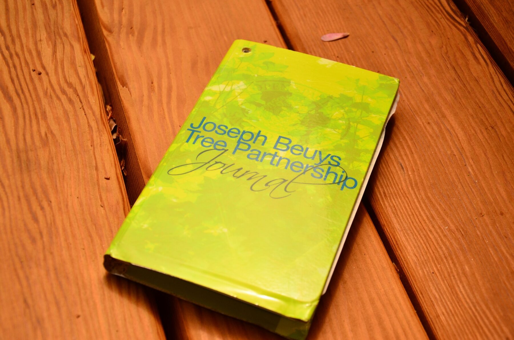 A closed green Joseph Beuys Tree Partnership journal lies on a wooden bench in the park.