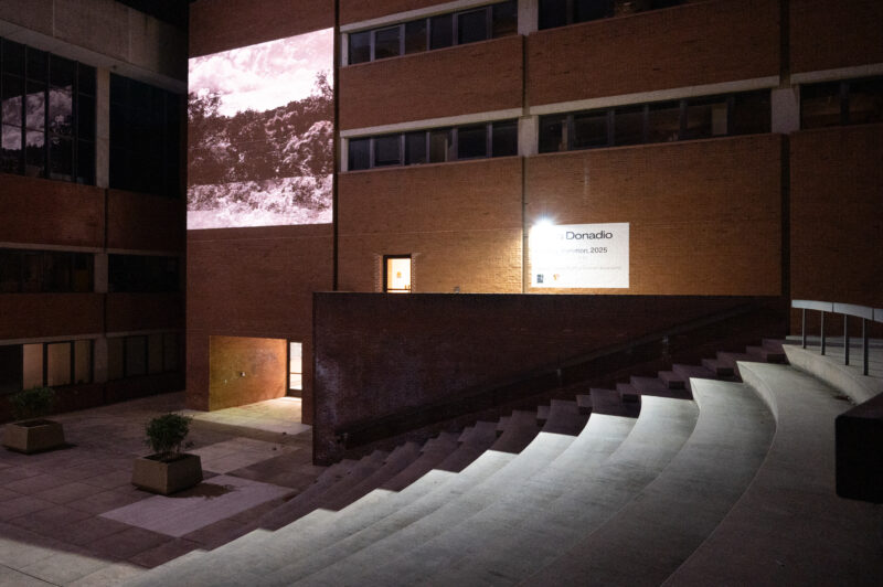 Angled exterior view of a video projection on a red brick building. Projection shows a monochome view of a forested landscape.