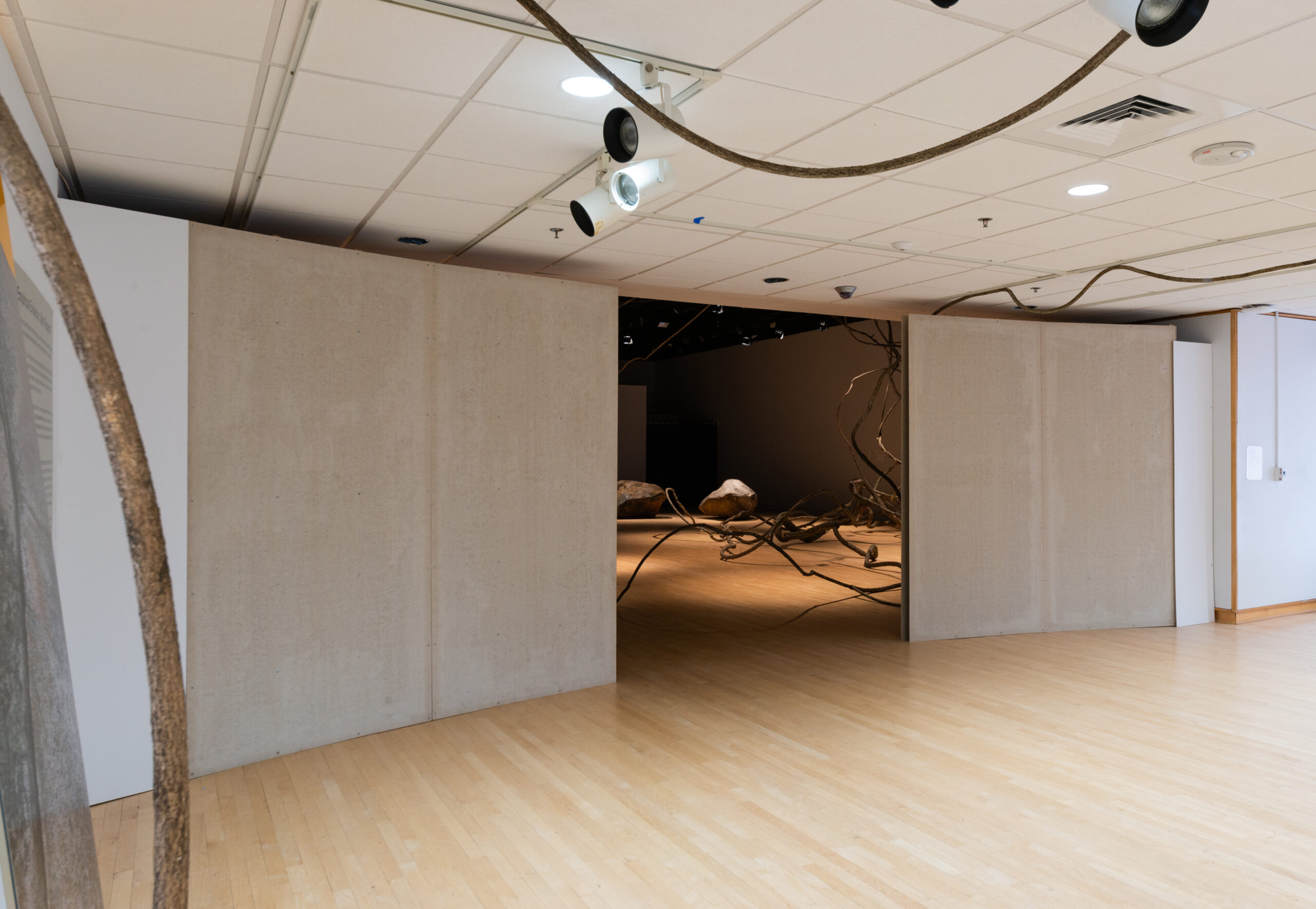 Image of a gallery showing an opening for a darker room ahead. The room is illuminated with a dim, yellow spotlight.
