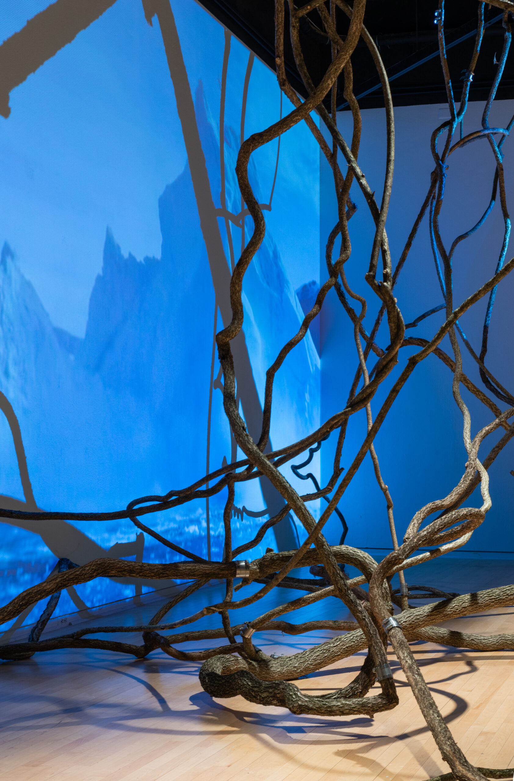 Detail of an installation piece featuring branch-like fixtures in a gallery illuminated by a blue light.