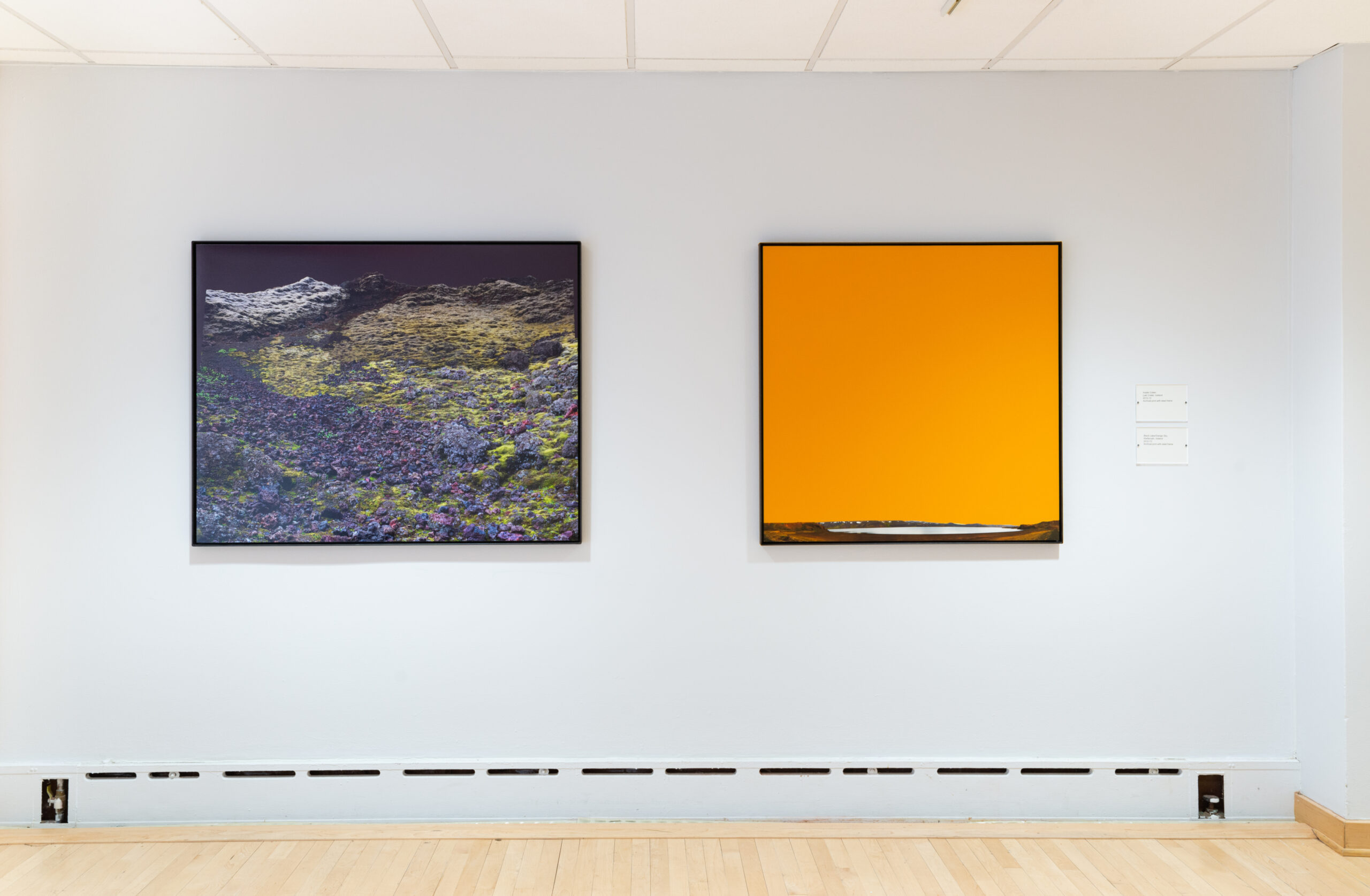 Installation view of a gallery wall with two framed pieces hanging on it. At left is a photograph of a rocky meadow. To its right is a single marigold-colored panel. Both are square in shape.