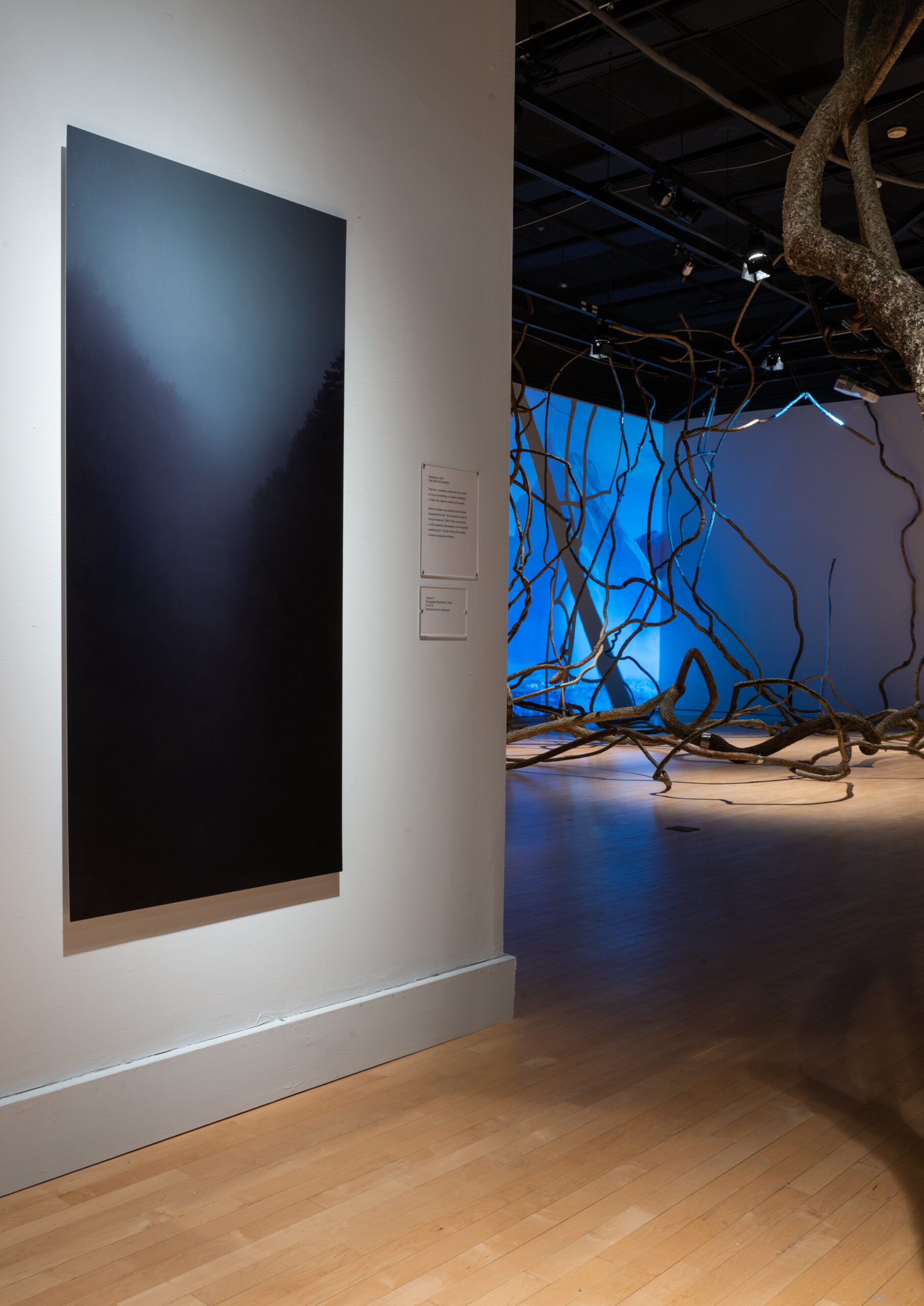Installation view of a dark panel mounted on a wall. Behind the wall, a branch-like installation piece populates the gallery space that is illuminated with a blue-toned light.