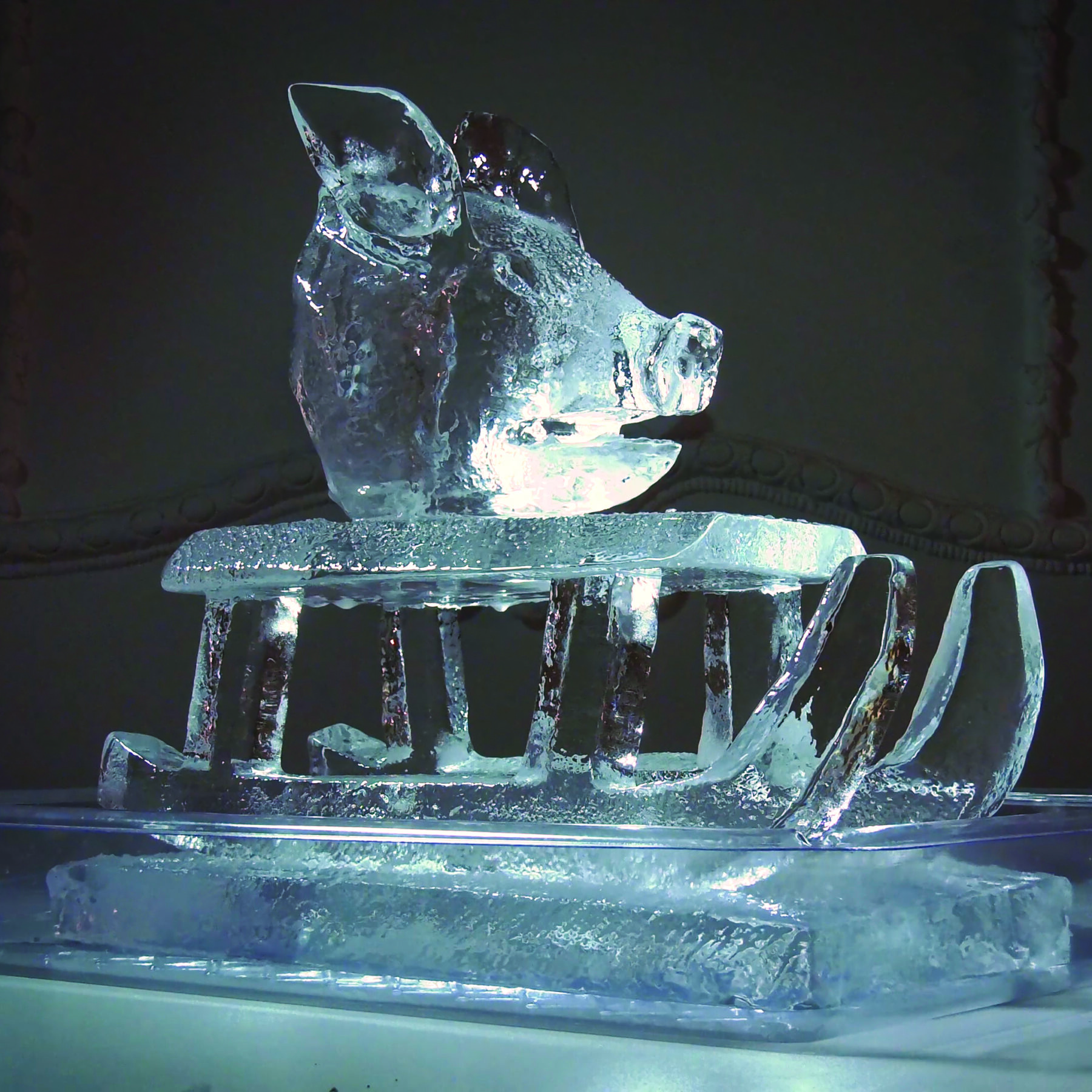 A ice sculpture of a pig's head on a toboggan stands on a light blue pedestal against a dark background.