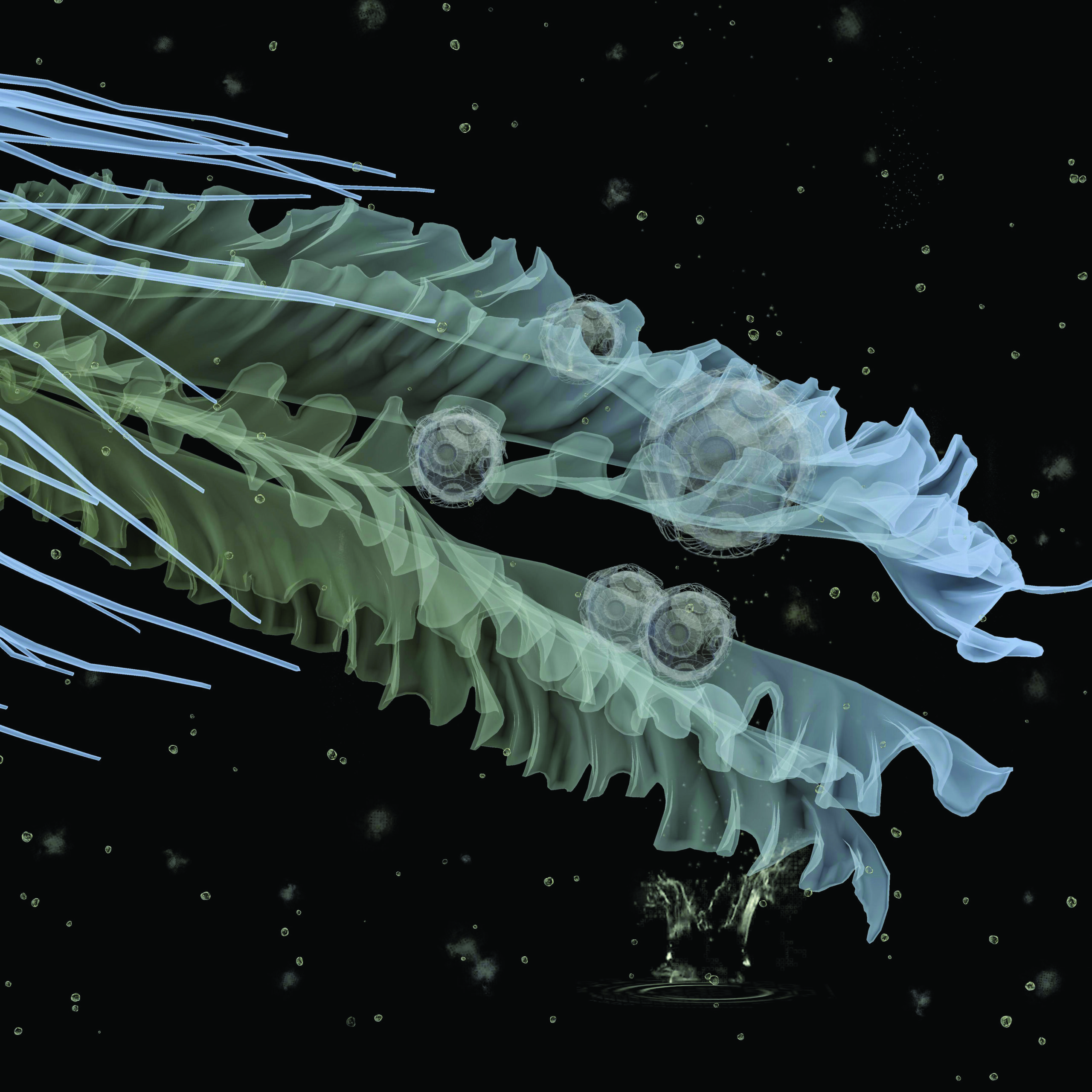AR produced image of a fluttering translucent sea creature against a dark grey background.