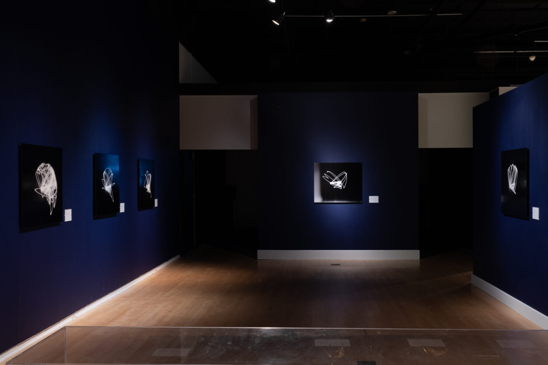 Installation view of Tahir Temphill: Rap Research Lab. White abstract works hang on navy walls.