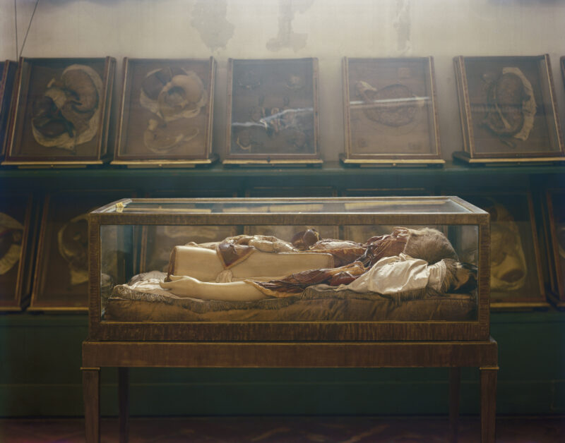 Tanya Marcuse, Wax Bodies No. 222, “La Specola,” Florence, Italy, 2002, Courtesy of the artist