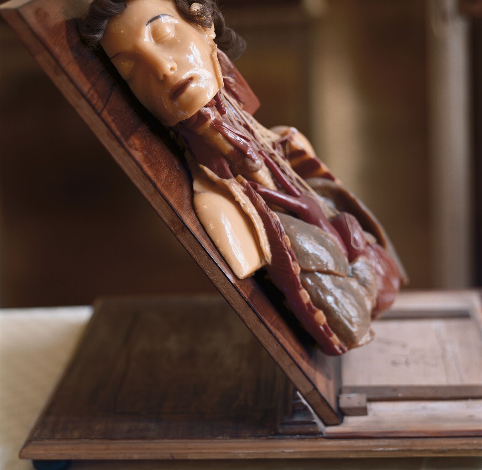 Wax Bodies by Tanya Marcuse (number and date not known). A photograph depicting preserved or sculptural wax anatomical figures. Courtesy of the artist.