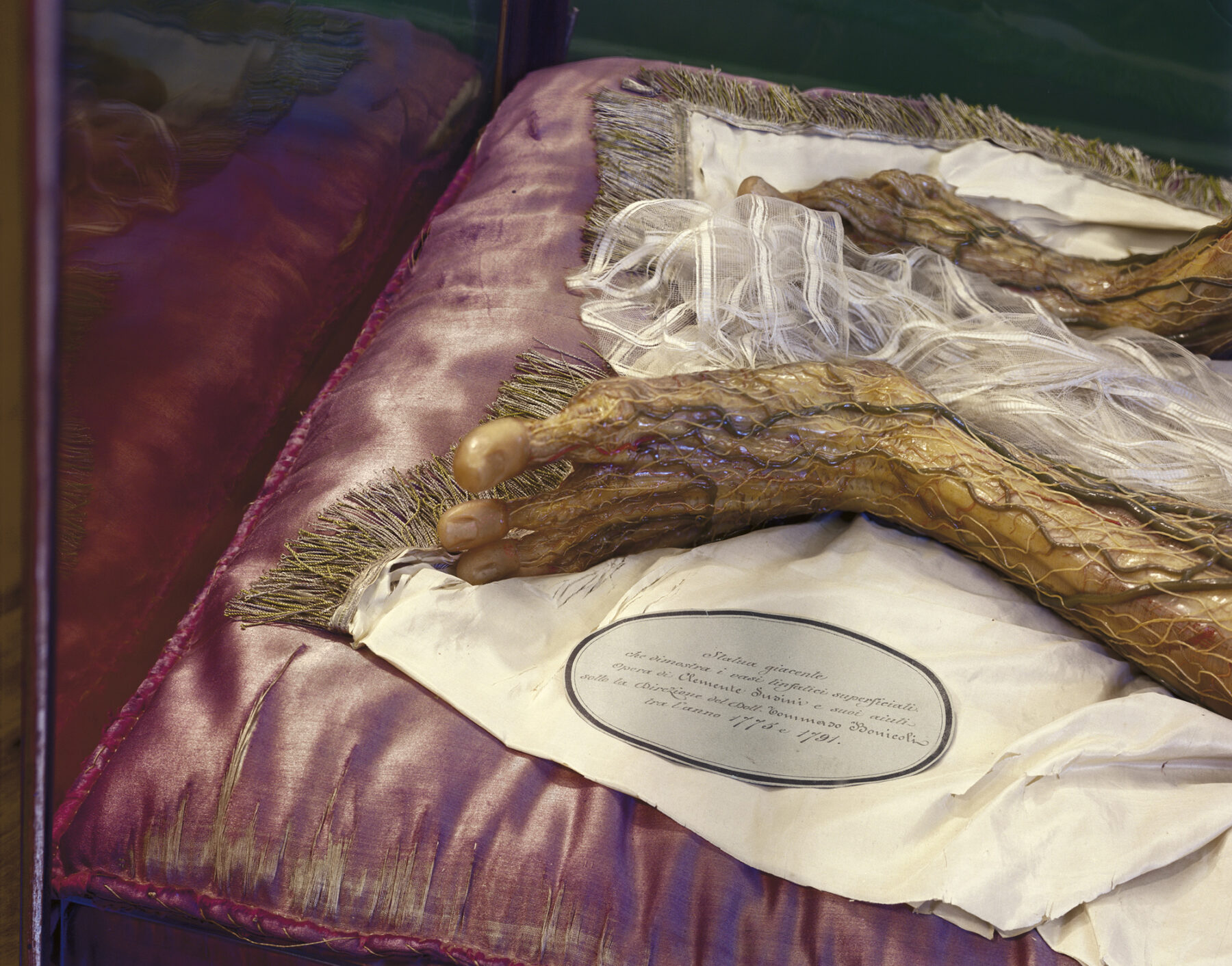Tanya Marcuse, Wax Bodies No. 249, Josephinum, Vienna, 2007, Austria Courtesy of the artist