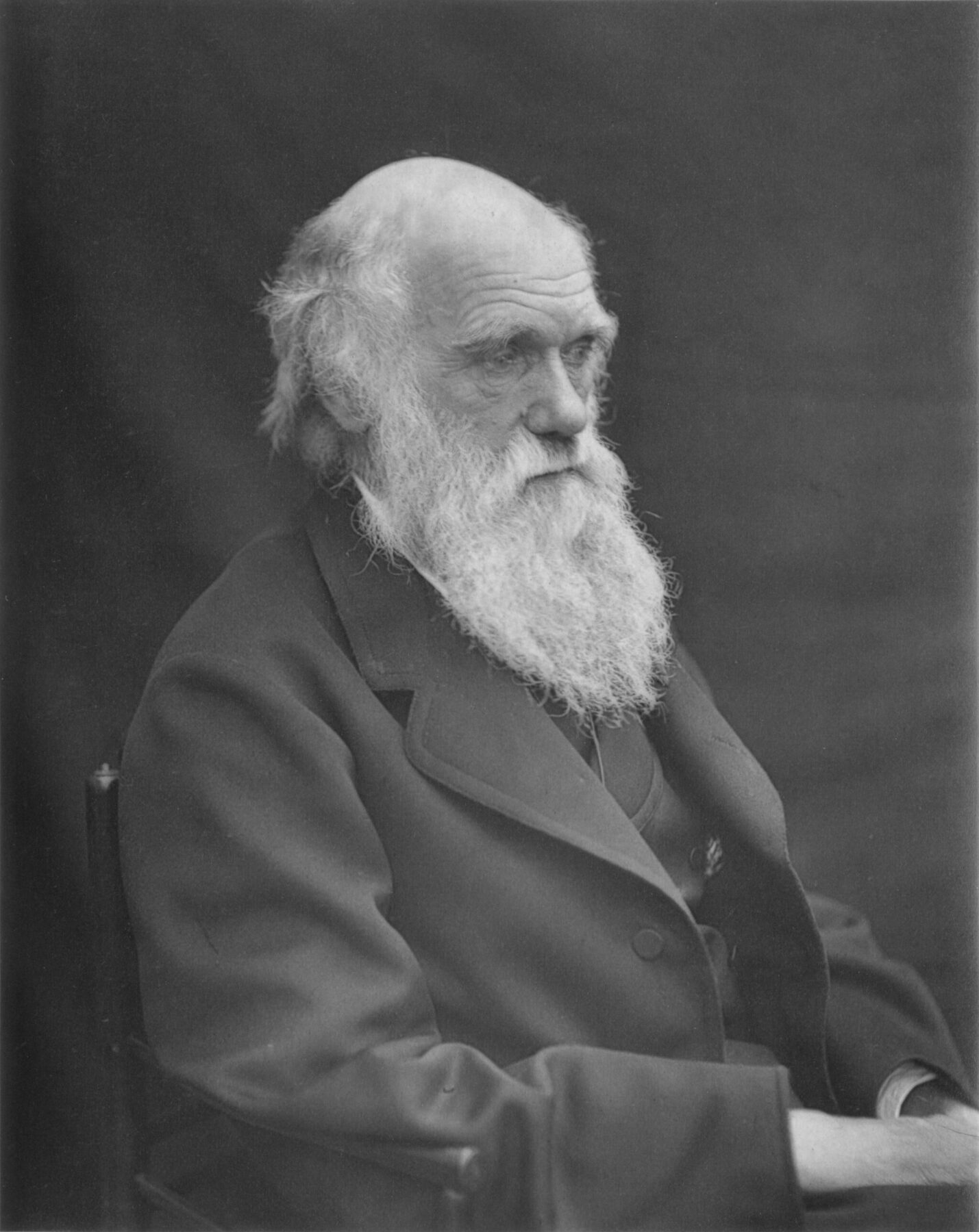 Leonard Darwin, Photograph of Charles Darwin, 1874