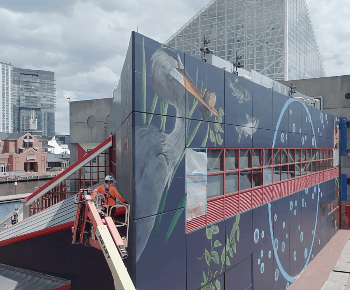 Photograph of a mural in an urban setting. A person stands on a construction crane working on the wall mural.