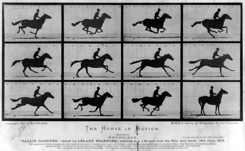 several silhouette stills of a jockey and a horse in motion
