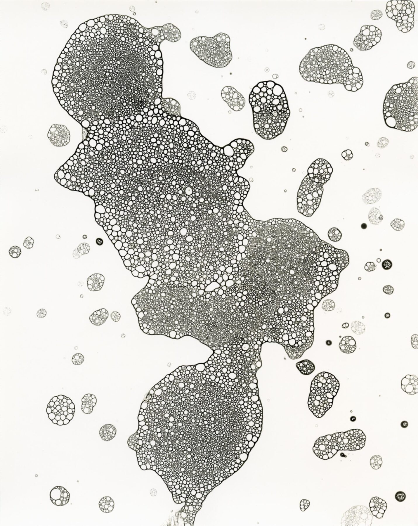 Unique silver gelatin print titled Developer Abstraction, dated January 10, 2015, by John Cyr. Measures 20 × 16 inches. Courtesy of the artist and Catherine Edelman Gallery.