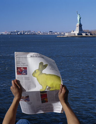 Color photograph titled "From Free Alba!, (The New York Times)" by Eduardo Kac, created in 2001–02. Mounted on aluminum with Plexiglas, 36 x 46.5 inches.