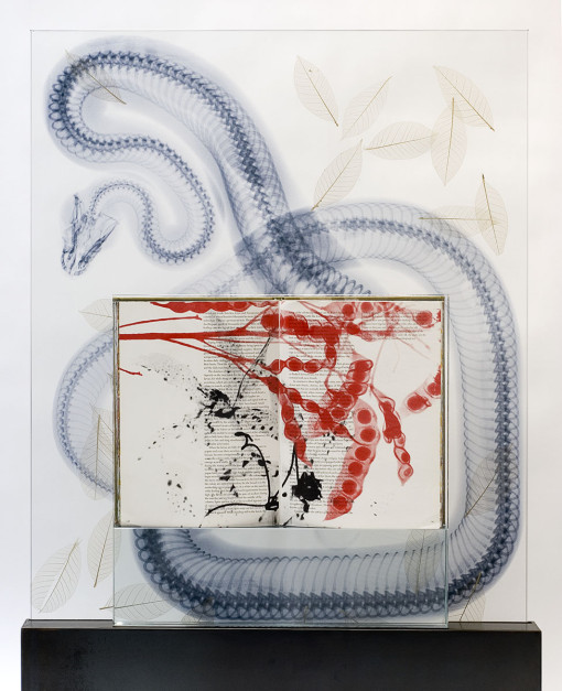 Detail of Snake Leaves by Steve Miller, 2011. A silk-screened book and jet spray artwork on laminated glass set in a steel base, measuring 45 by 32 by 5 inches. Courtesy of the artist.
