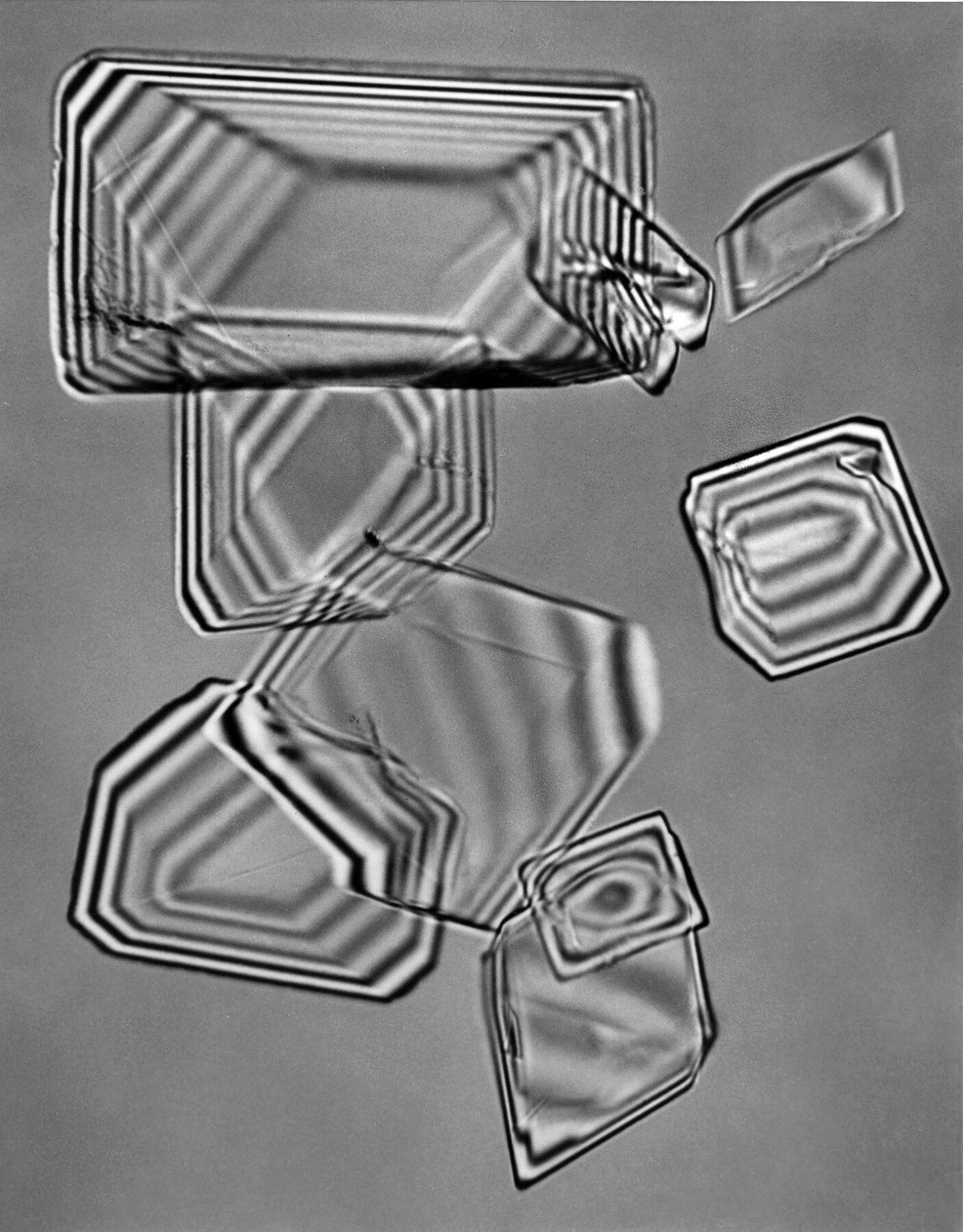 Tartaric Acid Calcium (Polarisation) by Carl Strüwe, 1947. A black-and-white gelatin silver print measuring 23.62 by 19.69 inches. Courtesy of Steven Kasher Gallery.