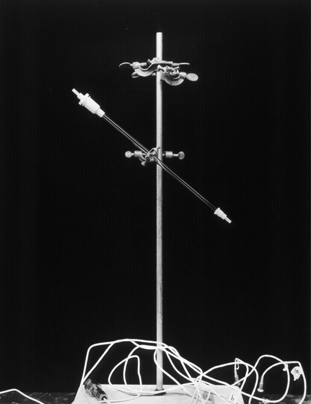 Untitled by Catherine Wagner. Courtesy of the artist, Anglim Gilbert Gallery, San Francisco, and Gallery Luisotti, Los Angeles.