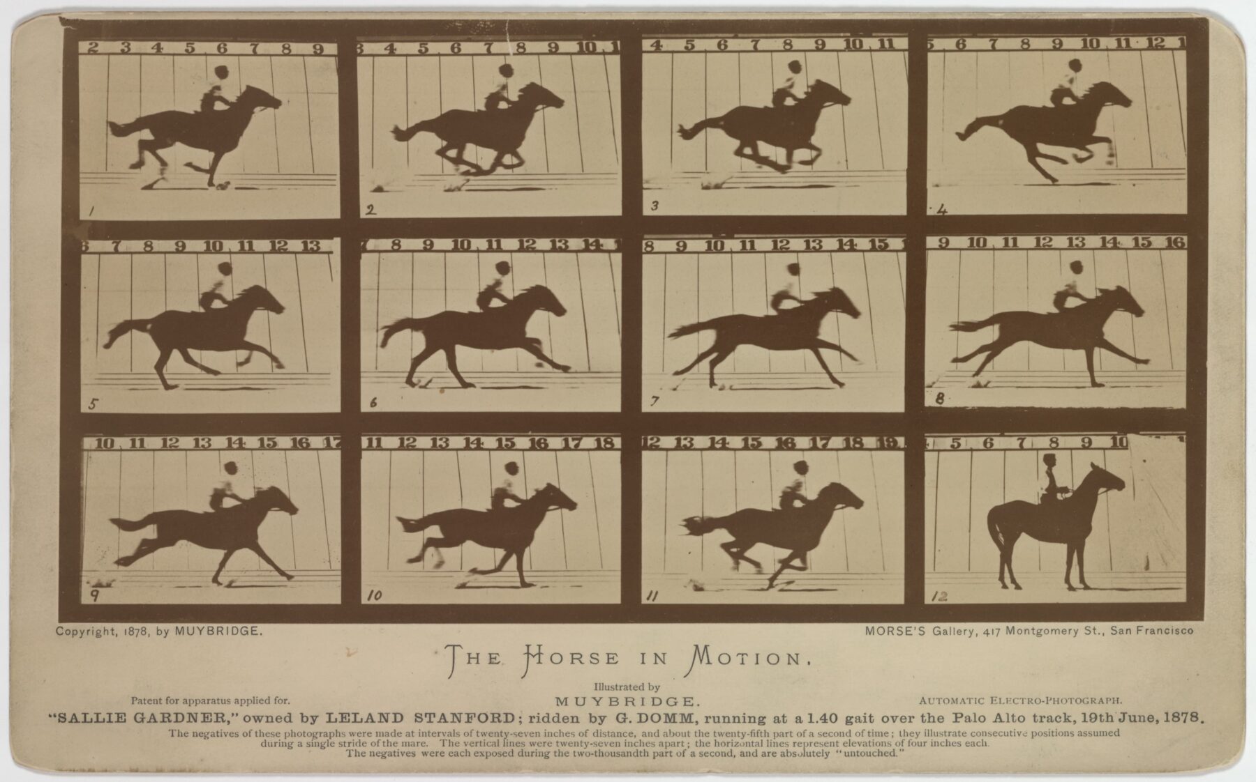 Photographic series titled Sallie Gardner by Eadweard Muybridge, showing a horse owned by Leland Stanford running at a 1:40 gait over the Palo Alto track on June 19, 1878.