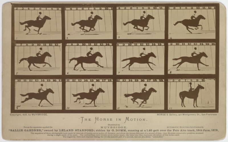 Photographic series titled Sallie Gardner by Eadweard Muybridge, showing a horse owned by Leland Stanford running at a 1:40 gait over the Palo Alto track on June 19, 1878.