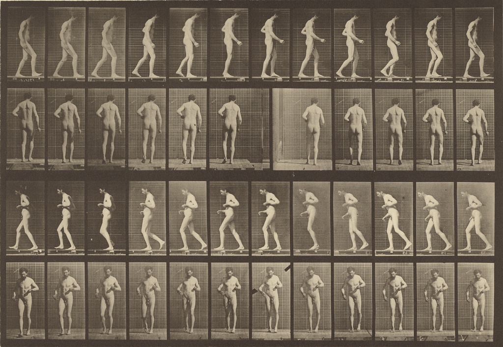 Photographic print titled Animal Locomotion by Eadweard Muybridge. Date not known.