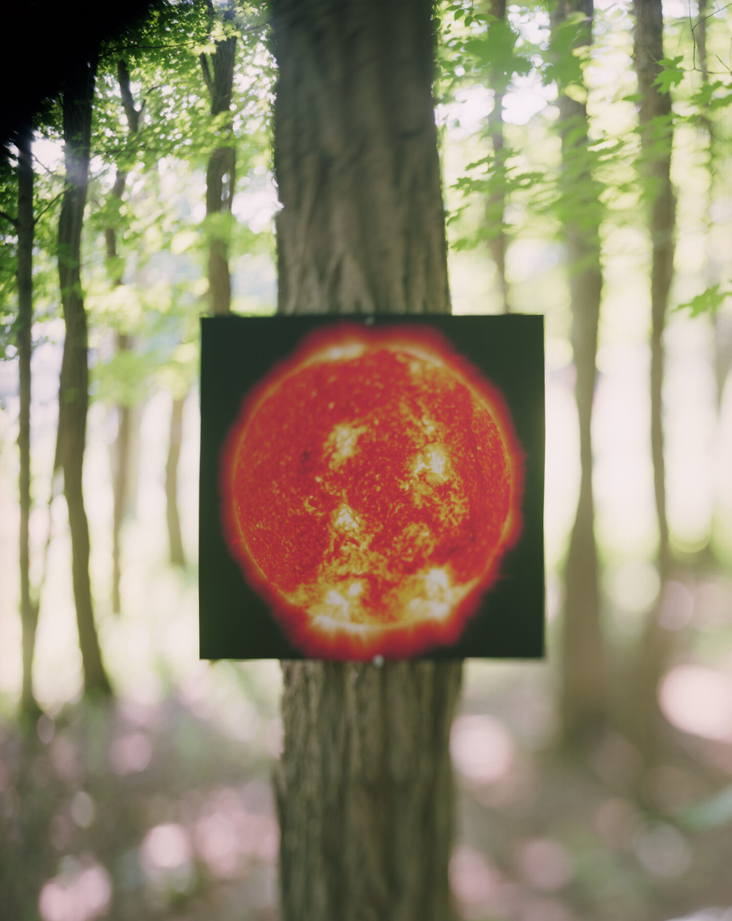Victor Schrager, [Sunspots], Muse #21, 2015, archival pigment print, 27 x 22 inches, © Victor Schrager 2015