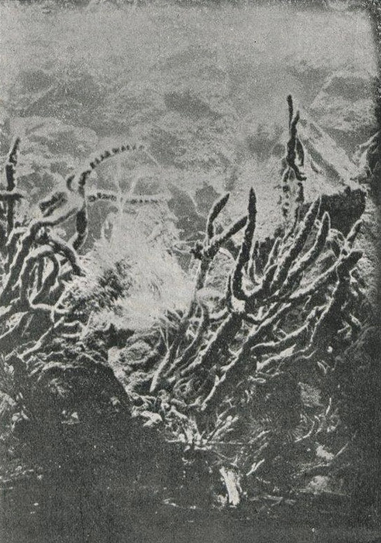 First underwater photographer, marine biologist Louis Boutan, begins his work in a marine laboratory in France.