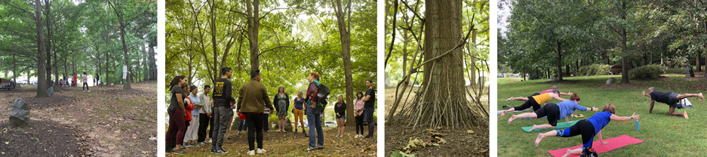 Above are four images of the Joseph Beuys Sculpture Park (JPSP). The first two images include groups of UMBC students in the park during autumn. The third picture shows part of an art installation--a single tree with fallen branches placed up against the base of its trunk. The fourth image shows a JBSP summer yoga class in progress.