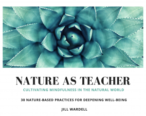 An image of the cover of Jill Wardell's Nature as Teacher guide to "30 Nature-Based Practices for Deepening Well-Being"