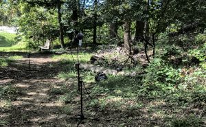 Photo of Stephen's microphones set up to record the cicadas in the Joseph Beuys Sculpture Park