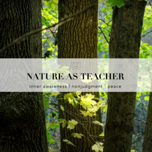 An image of trees with green leaves. Text overlaid on the image reads, "Nature as Teacher: Inner awareness , nonjudgment, peace